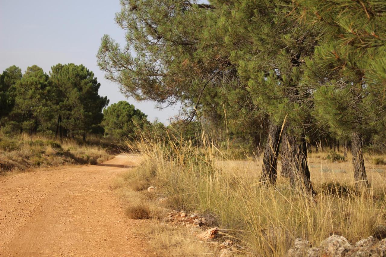 Almuñécar Esencia Lodge - Luxurious Off-Grid Cabin Retreat מראה חיצוני תמונה