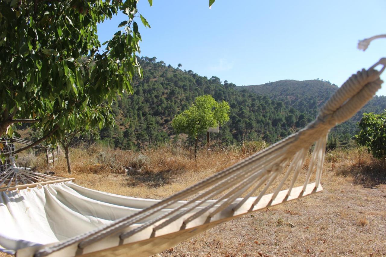 Almuñécar Esencia Lodge - Luxurious Off-Grid Cabin Retreat מראה חיצוני תמונה