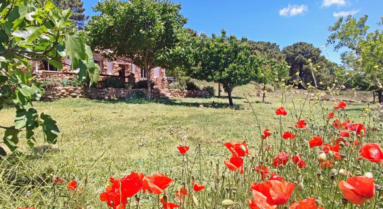 Almuñécar Esencia Lodge - Luxurious Off-Grid Cabin Retreat מראה חיצוני תמונה